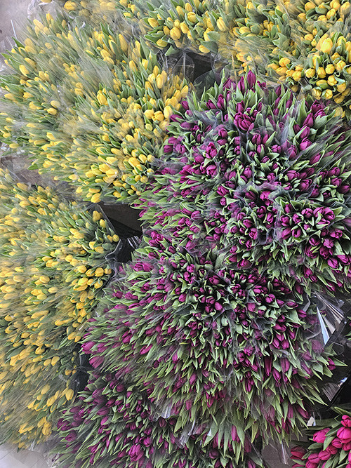  Su kullanılarak yapılıyor 1 ay sonra hazır oluyor | Türkiyede bu işin başka bir örneği yok