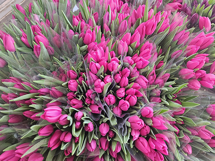  Su kullanılarak yapılıyor 1 ay sonra hazır oluyor | Türkiyede bu işin başka bir örneği yok