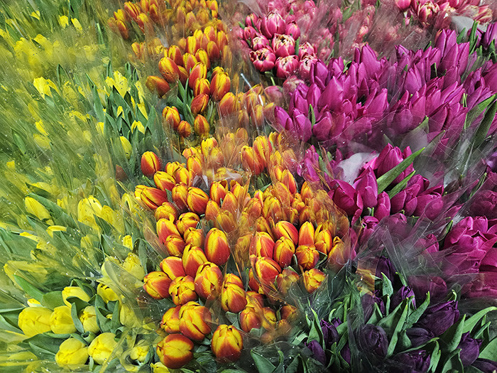  Su kullanılarak yapılıyor 1 ay sonra hazır oluyor | Türkiyede bu işin başka bir örneği yok