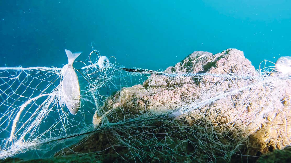 Hayalet ağlar sanata dönüştü