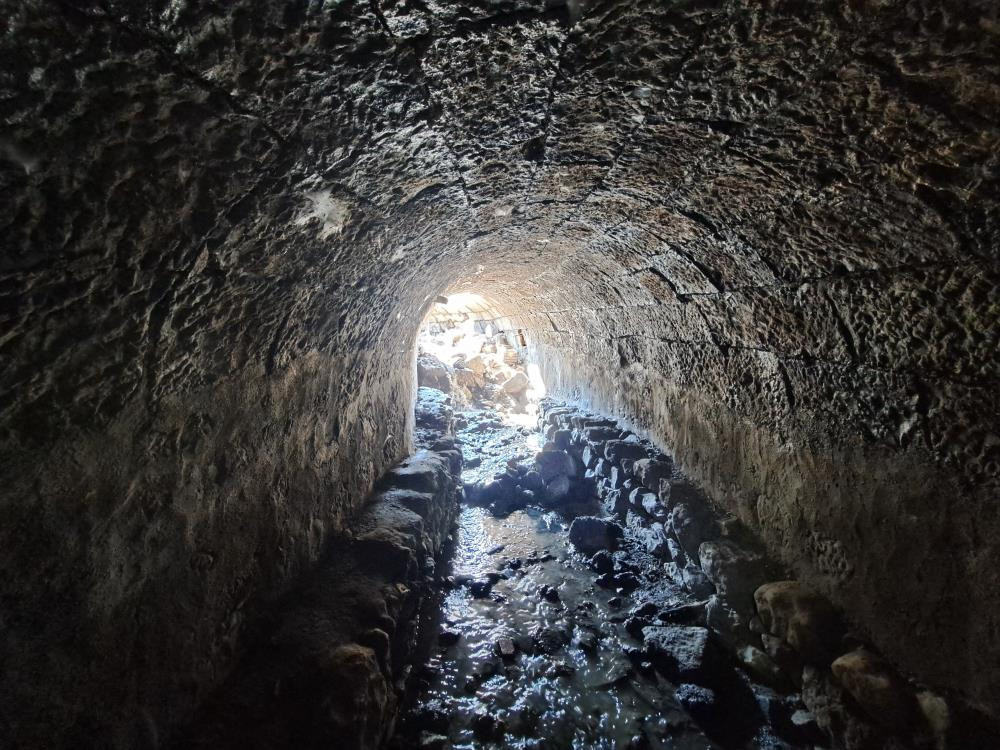  Bizim için sürpriz oldu