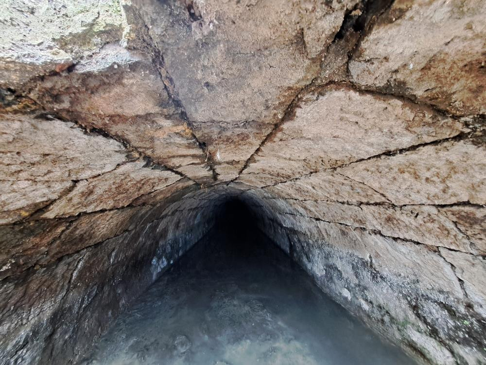  Bizim için sürpriz oldu