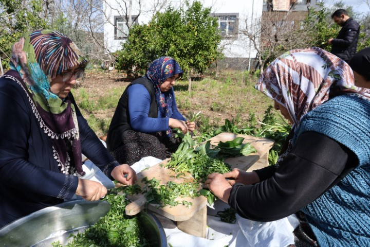  Kazanlarda pişince şifaya dönüşüyor