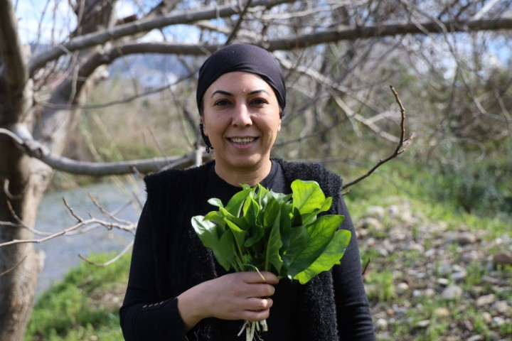  Kazanlarda pişince şifaya dönüşüyor