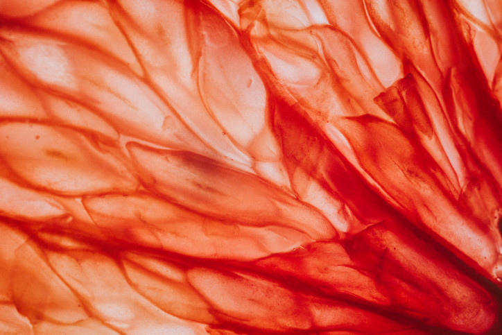 Bu kişiler asla yememeli! Yıllarca zayıflattığı söylendi ama yanlış mıydı?