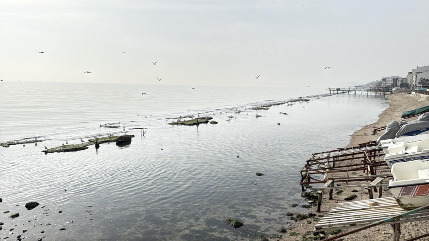  Tekirdağda denizin çekilmesi sonrası ortaya çıktı