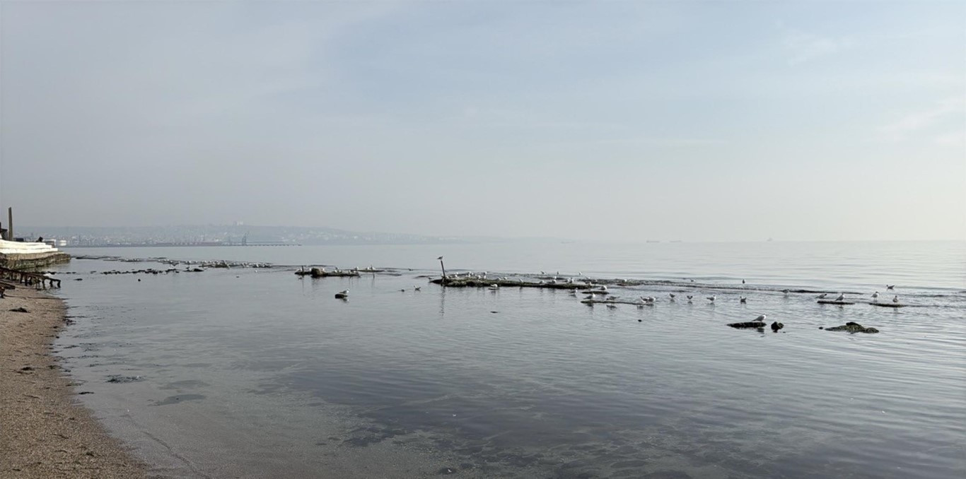 Tekirdağda denizin çekilmesi sonrası ortaya çıktı