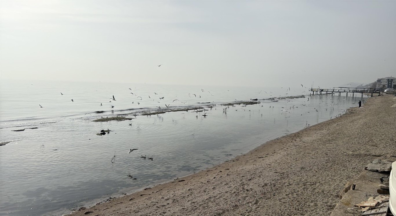  Tekirdağda denizin çekilmesi sonrası ortaya çıktı