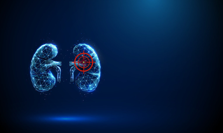 HAYVANDAN İNSANA NAKİL UMUDU