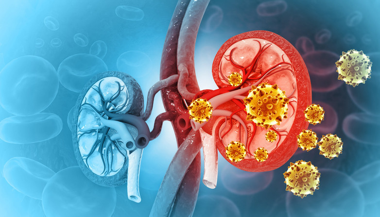 Dünyada bir ilk yaşandı Hem domuz hem insan böbreği nakledilen Tim Andrews’un mucizevi kurtuluş öyküsü