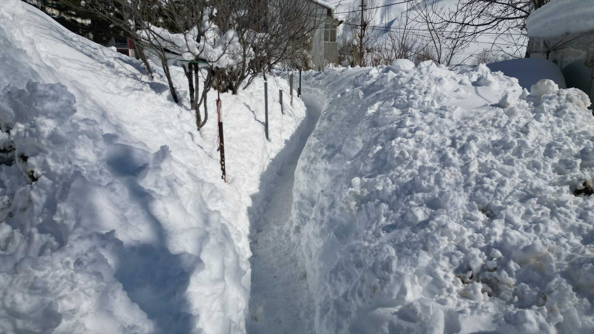 Kar kalınlığı 2 metreyi aştı Evler ve ahırlar kara gömüldü... Evlerine tünel kazarak ulaşıyorlar