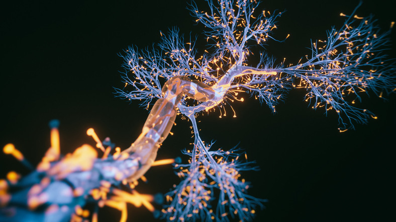 Sağlıklı sanıyorsunuz ama... Beynin koruma kalkanını deliyor, Alzheimer’ı tetikliyor