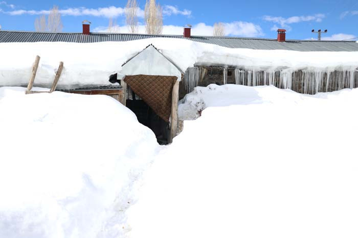  Baharda kışı yaşıyorlar Kar evlerin boyunu aşmış, çatılar içinde kaybolmuş