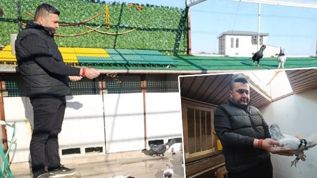 Zaman ayıramadığını düşünerek memurluktan istifa etti: Şimdi tanesini otomobil fiyatına satıyor! 'Özellikle Almanya ve Fransa'ya gönderdim'