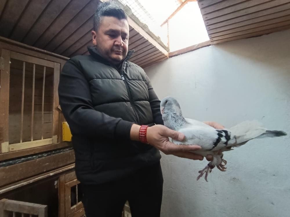  Şimdi tanesini otomobil fiyatına satıyor Özellikle Almanya ve Fransaya gönderdim