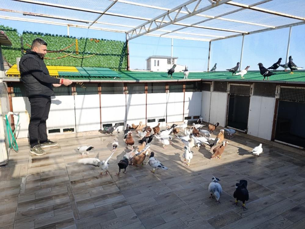  Şimdi tanesini otomobil fiyatına satıyor Özellikle Almanya ve Fransaya gönderdim