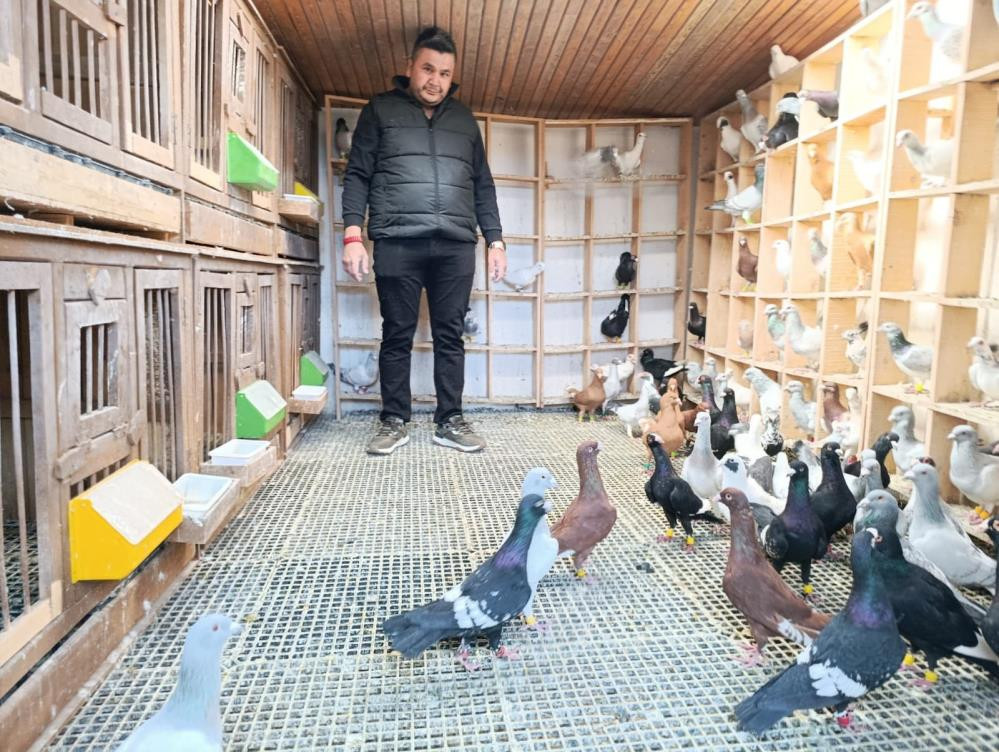  Şimdi tanesini otomobil fiyatına satıyor Özellikle Almanya ve Fransaya gönderdim