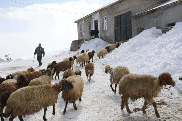  Mahalle 230 nüfuslu Burada Antarktikanın kışı yaşanıyor