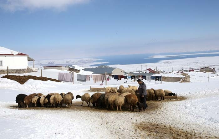  Mahalle 230 nüfuslu Burada Antarktikanın kışı yaşanıyor