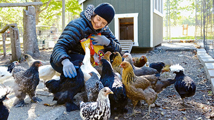 Yaş alıp oyunculuk teklifleri azalınca 'mektepli çiftçi' oldu... Şimdi tavukların nasıl daha çok yumurtlayacağını hesaplıyor!