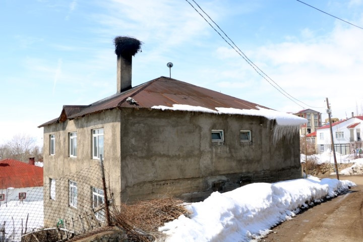 Karlar içinde buldu, her gün balıkla besleyip iyileştirdi