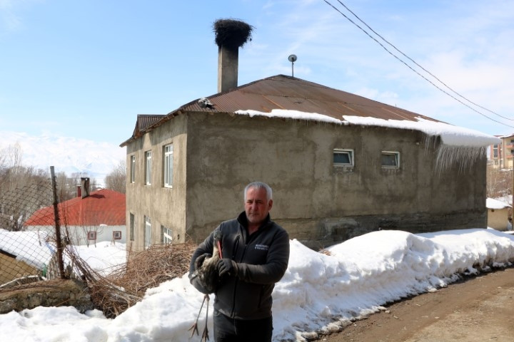 Karlar içinde buldu, her gün balıkla besleyip iyileştirdi