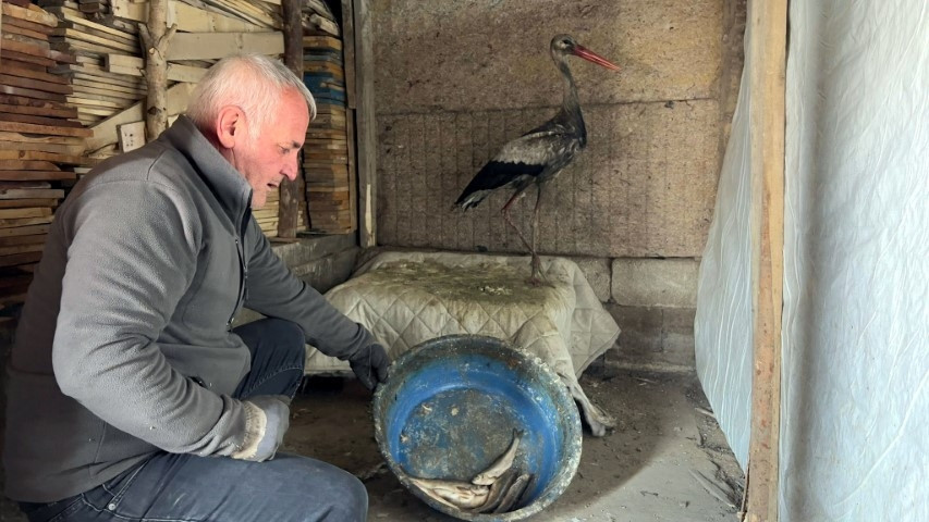 Karlar içinde buldu, her gün balıkla besleyip iyileştirdi
