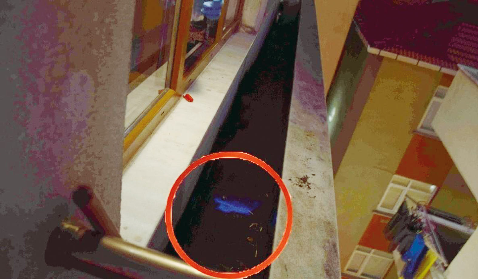 Vahşeti ele veren mavi ışık