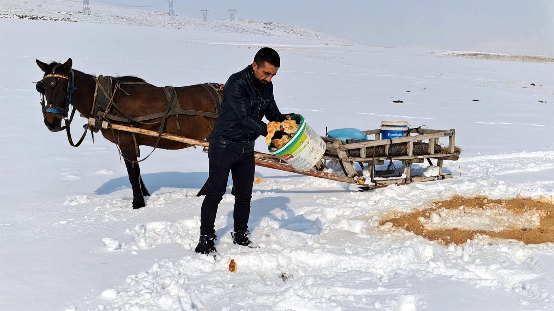 Zorlu kış şartlarında yaban hayvanları için atlı kızakla harekete geçti
