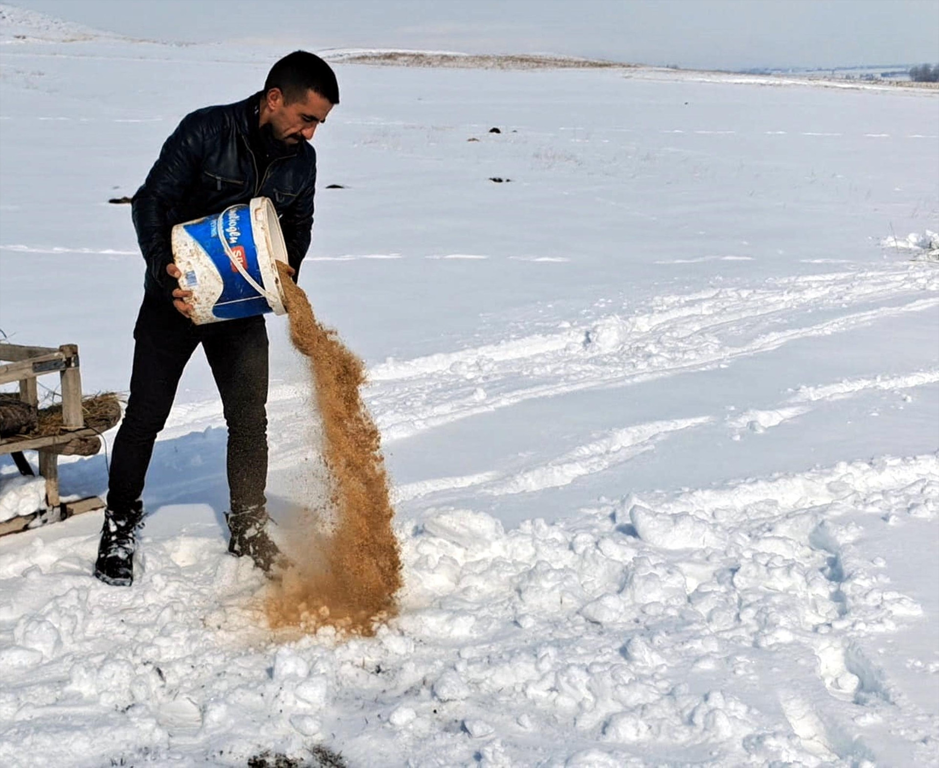 Zorlu kış şartlarında yaban hayvanları için atlı kızakla harekete geçti