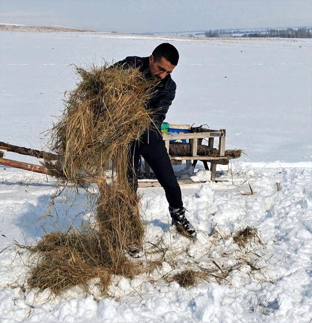 Zorlu kış şartlarında yaban hayvanları için atlı kızakla harekete geçti