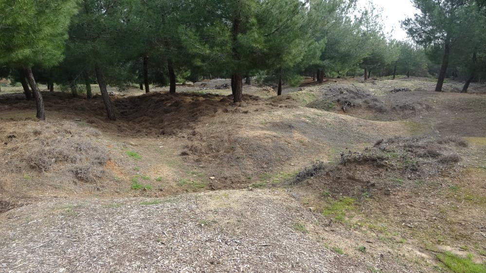  Birinci Dünya Savaşındaki en meşhur Türk askeri