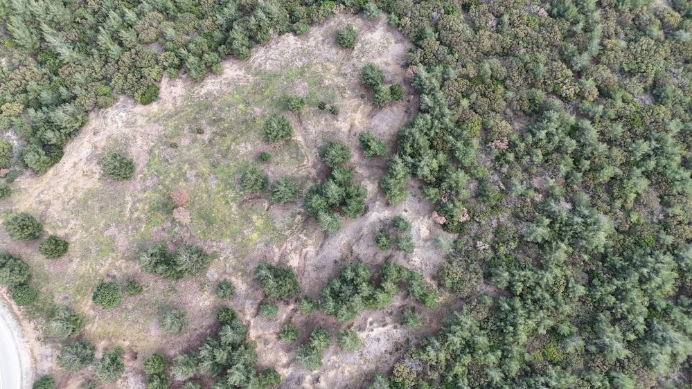  Birinci Dünya Savaşındaki en meşhur Türk askeri