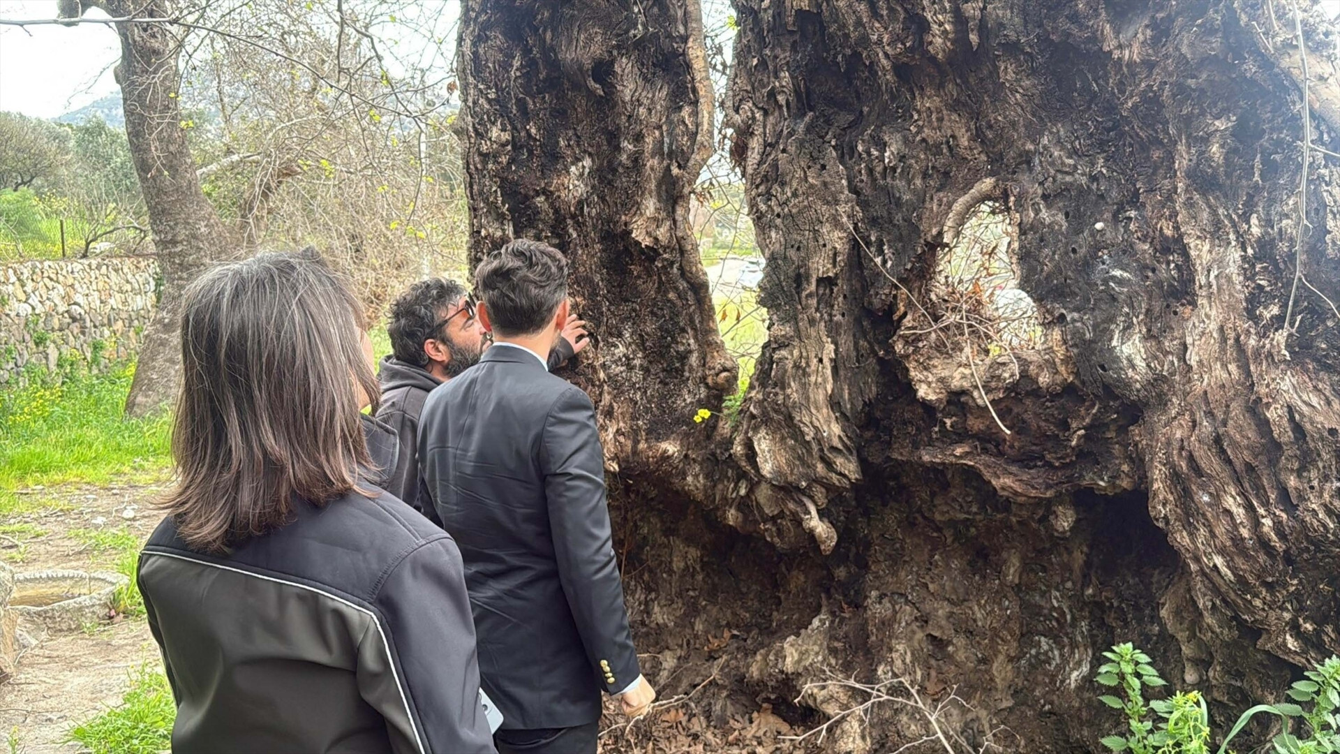 Bodrumda yürüyüş yapan kişi fark etti İnceleme başlatıldı... 2 bin yıllık olduğu tahmin ediliyor