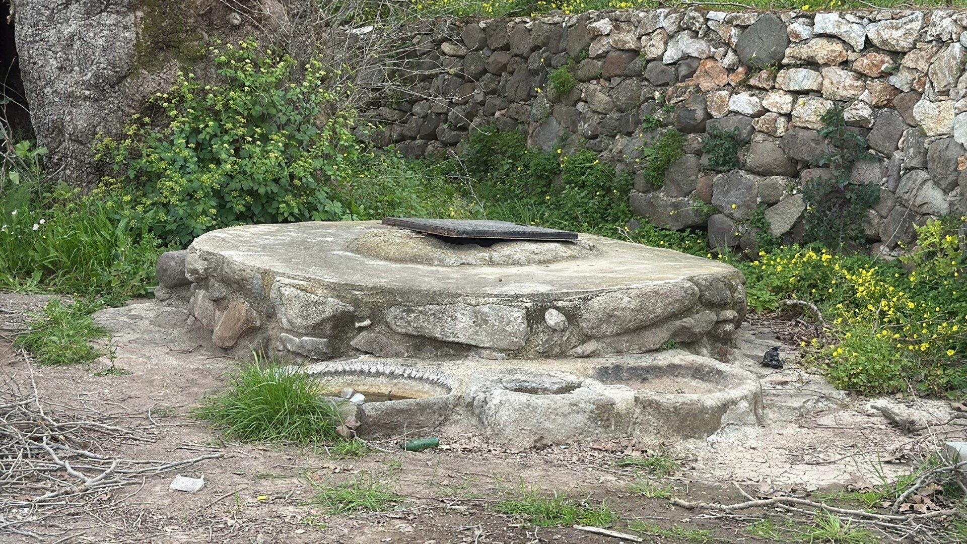 Bodrumda yürüyüş yapan kişi fark etti İnceleme başlatıldı... 2 bin yıllık olduğu tahmin ediliyor
