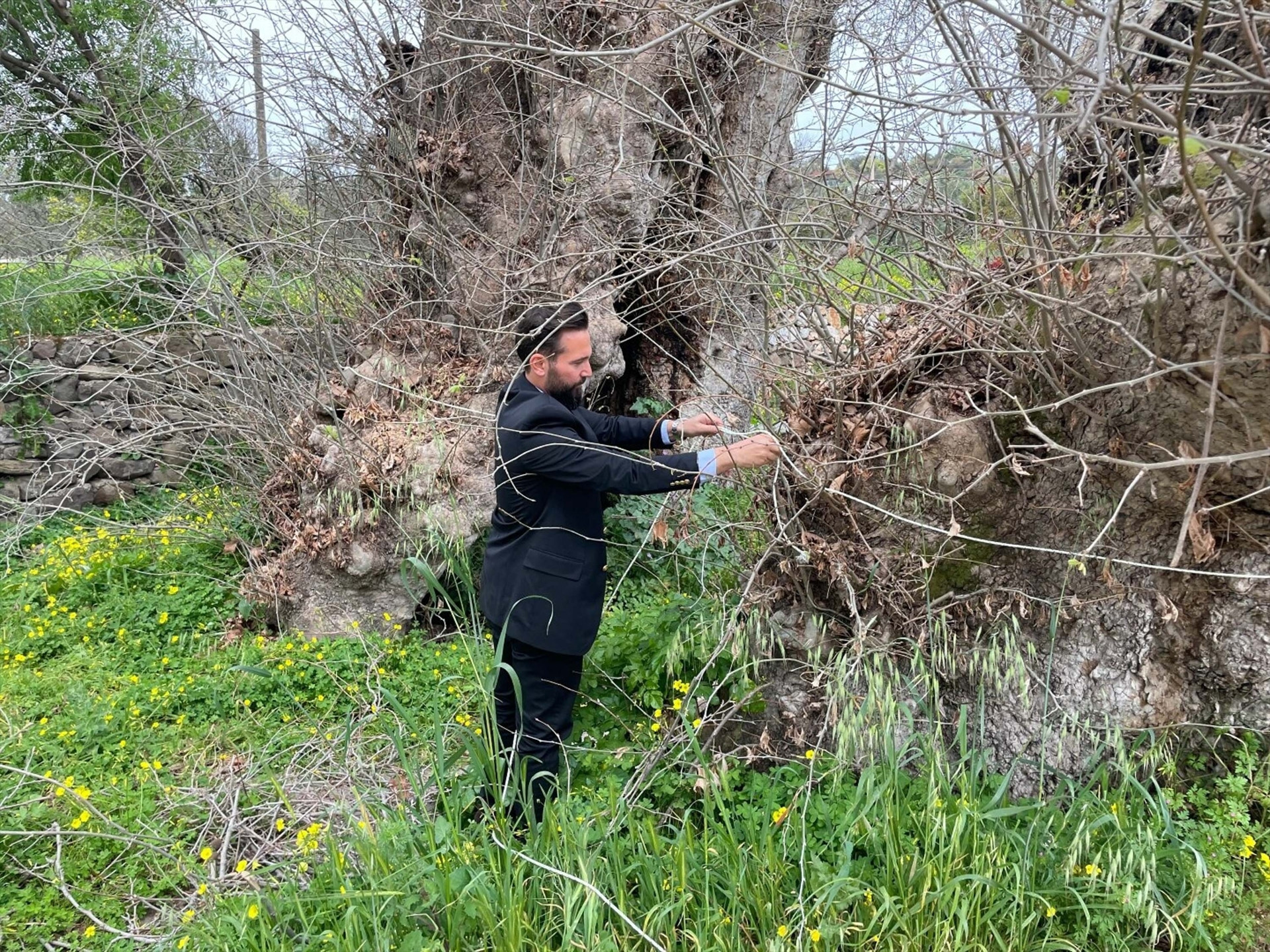 Bodrumda yürüyüş yapan kişi fark etti İnceleme başlatıldı... 2 bin yıllık olduğu tahmin ediliyor