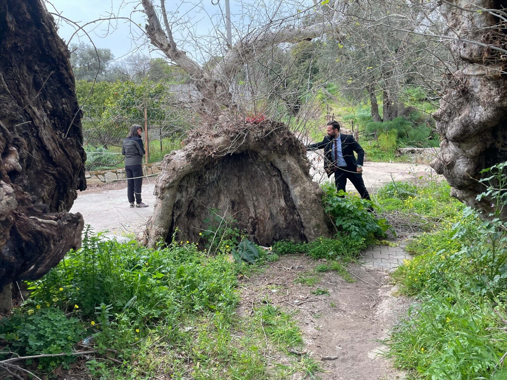 Bodrum'da yürüyüş yapan kişi fark etti! İnceleme başlatıldı... 2 bin yıllık olduğu tahmin ediliyor