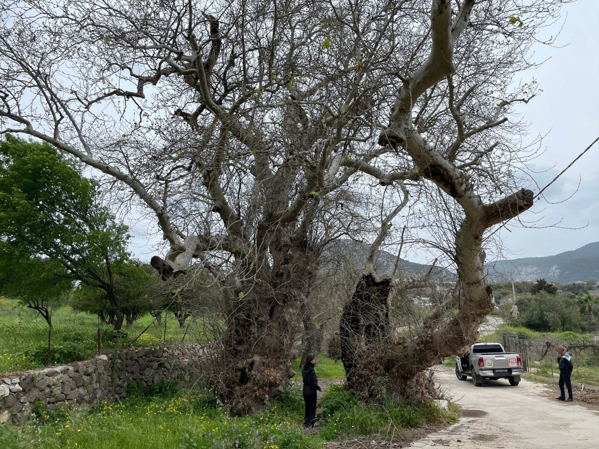 Bodrumda yürüyüş yapan kişi fark etti İnceleme başlatıldı... 2 bin yıllık olduğu tahmin ediliyor
