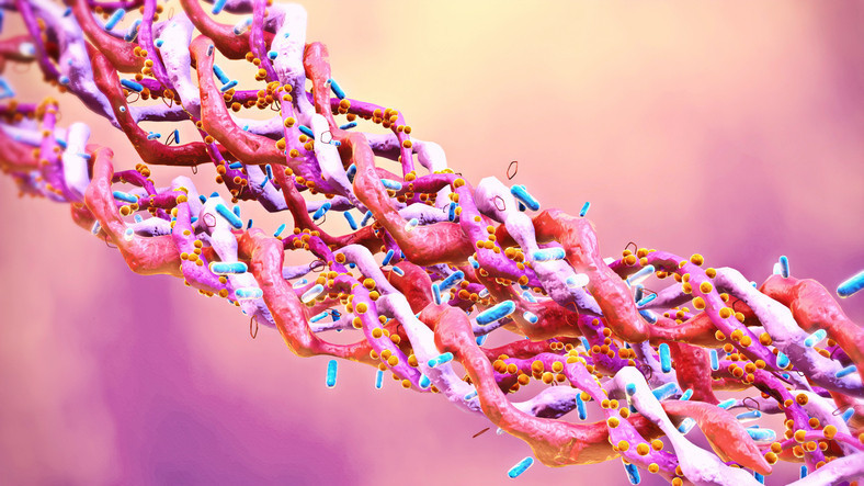 Kolajeni artırıyor, hücreleri koruyor Her gün tüketin... Beslenmenizi değiştirerek kolajen üretimini nasıl arttırabilirsiniz