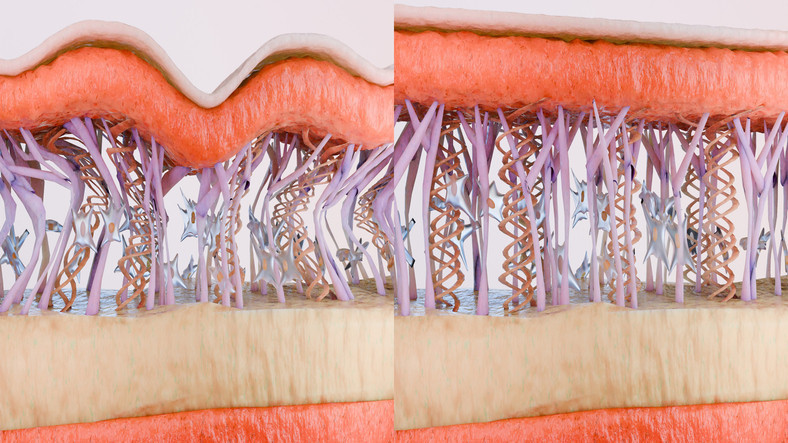 Kolajeni artırıyor, hücreleri koruyor Her gün tüketin... Beslenmenizi değiştirerek kolajen üretimini nasıl arttırabilirsiniz