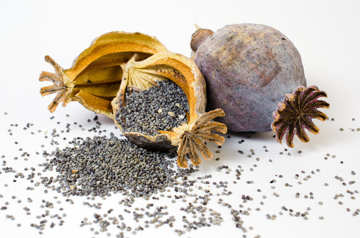 Kolesterol, bağışıklık, sindirim ve daha pek çok şeye iyi geliyorlar! Hangi tohum ne işe yarıyor?