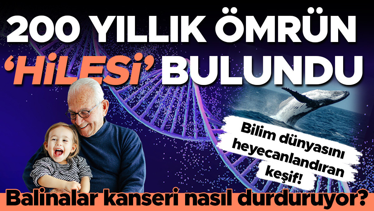 İnsan ömrü 200 yıla çıkabilir mi? Cevap balinaların DNA’sında!