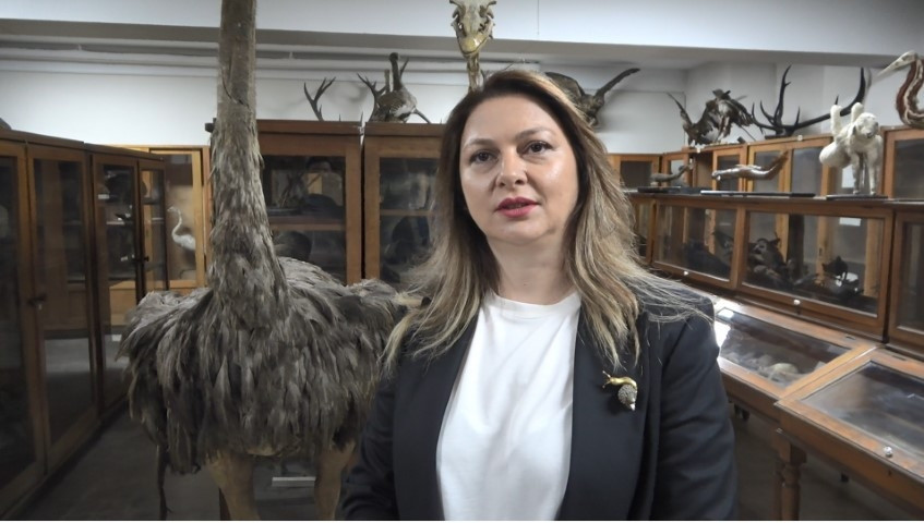  İkinci Dünya Savaşında Alman bilim insanlarının getirdikleri ile genişledi