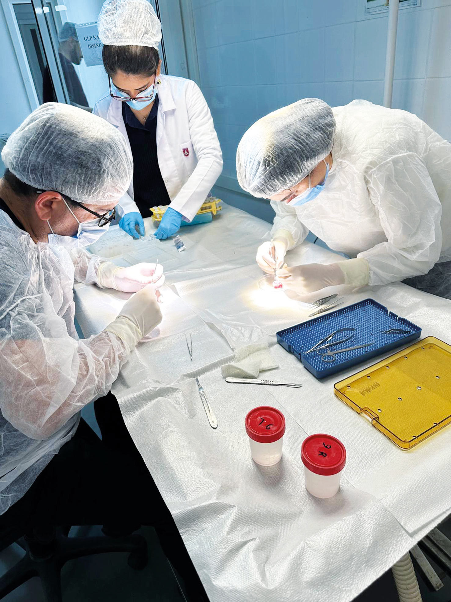 Gözlerimiz artık yaşlanmayacak