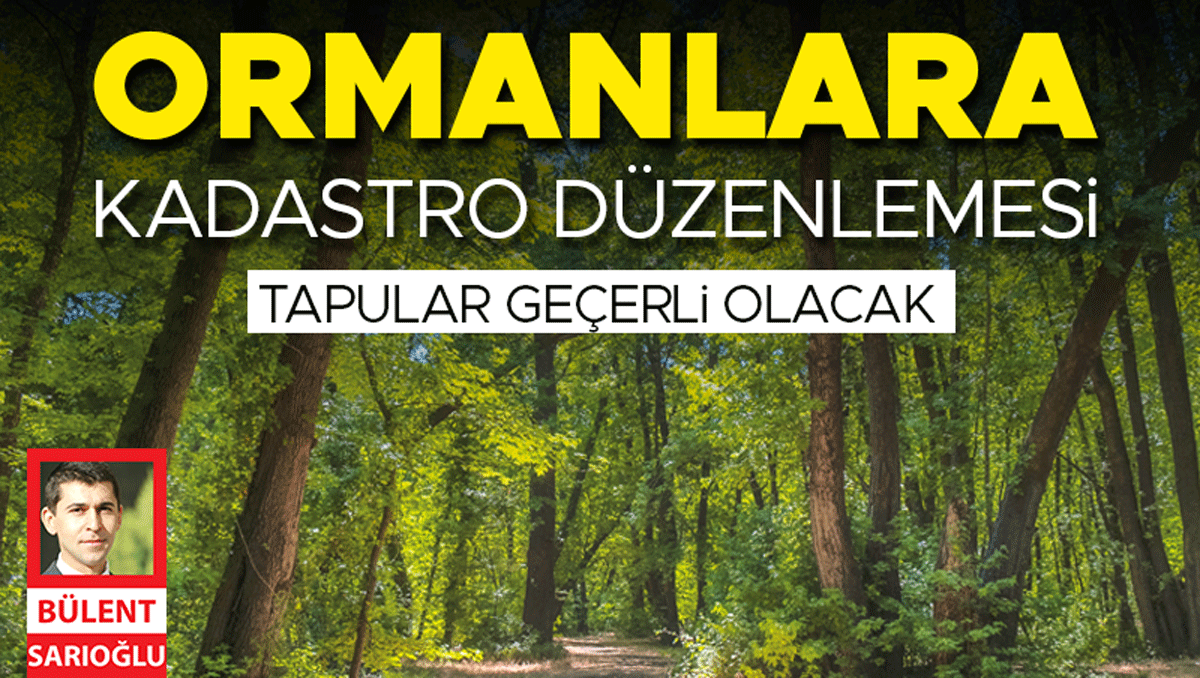 Ormanlara kadastro düzenlemesi