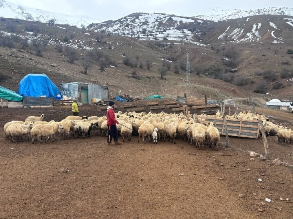  Besici hayatının şokunu yaşadı