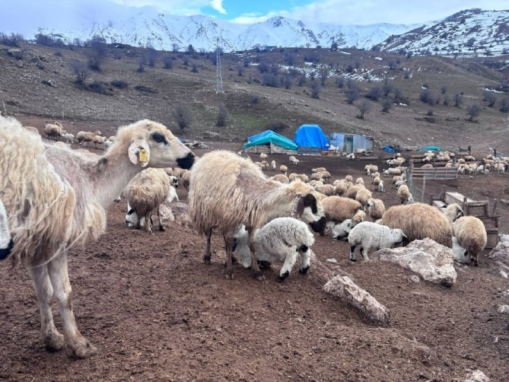  Besici hayatının şokunu yaşadı