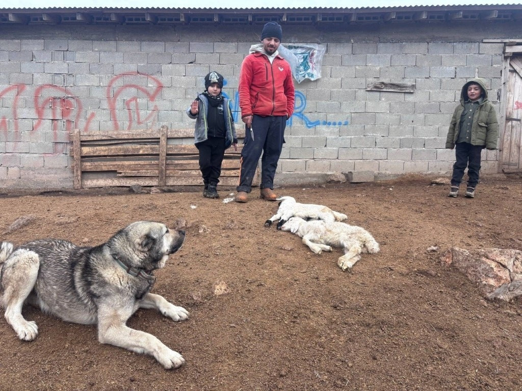  Besici hayatının şokunu yaşadı
