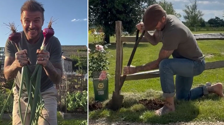Göz bebeği oğlu onu hoyratça can evinden vurdu... Acısını milyonluk bahçesinde unutuyor: Toprak en sadık dostu oldu!