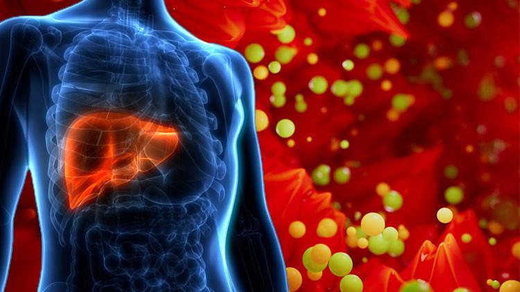 Ölüm sebepleri arasında ilk 10’da yer alıyor! Bu etkenler karaciğeri sessizce tüketiyor